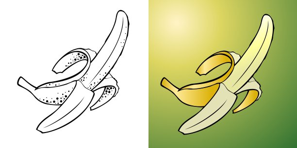 一组两张香蕉水果的图片图片下载