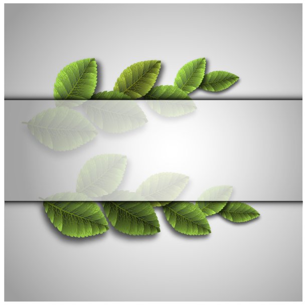 写实的绿叶装饰设计。矢量装饰对象。植物的背景。室内装饰。现实的向量。图片下载