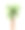 热带棕榈树。植物水彩丛林插图，花卉元素。一棵孤立在白色背景上的异国情调的棕榈树。美丽的纺织品插图。图片下载