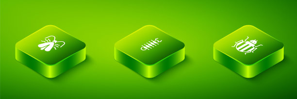 设置等距蜈蚣，科罗拉多甲虫和衣服蛾图标。向量图片下载