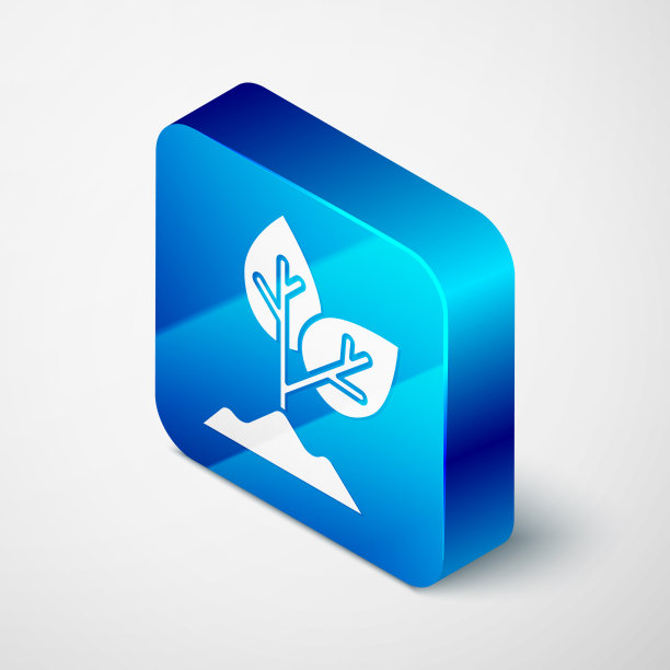 灰色背景上孤立的等距植物图标图片下载