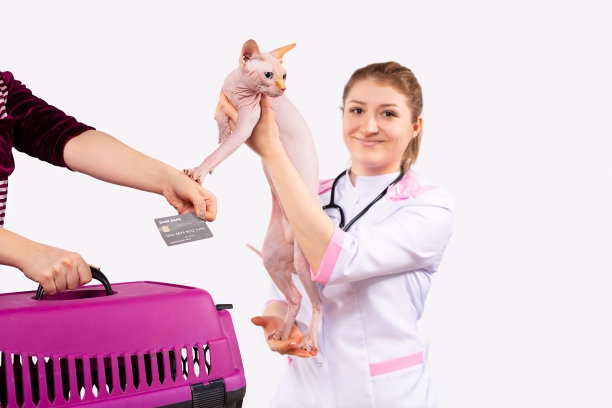 付款时间凭卡办理兽医服务。一个微笑的女人和金发兽医的照片，归还狮身人面像猫的主人后，成功的治疗或检查。图片下载