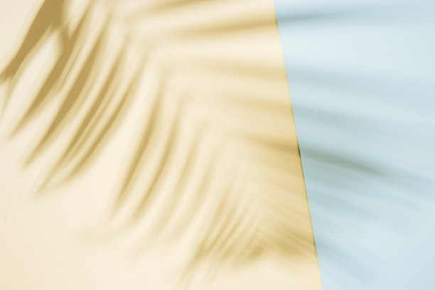 棕榈树叶子的阴影在沙子和蓝色的背景。夏季最小的概念图片下载