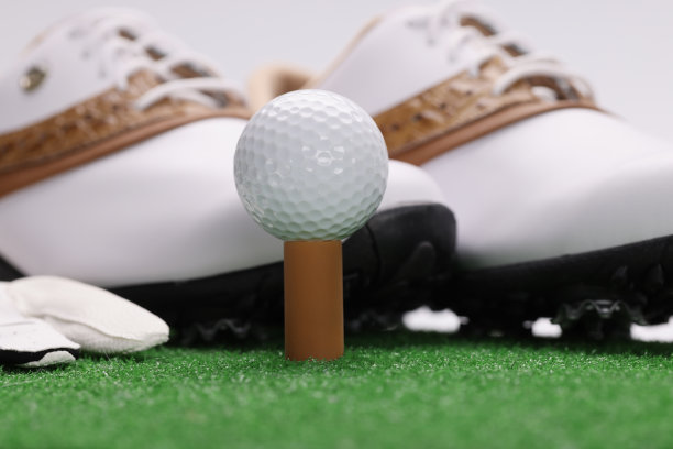 高尔夫球靴，手套和球架在绿色草坪上图片下载