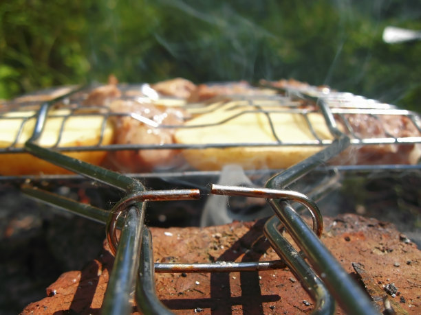 在篝火上烧烤。户外休息图片下载