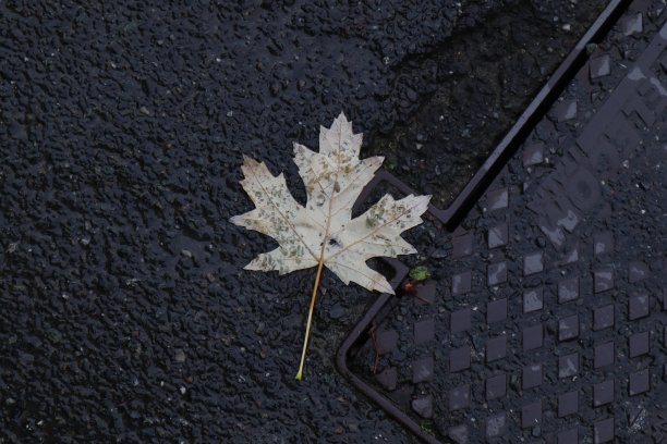 皮埃蒙特的街道图片下载