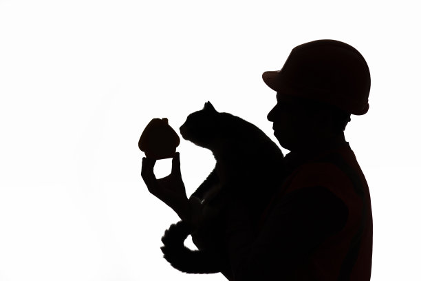 剪影建设者在安全帽与猫和房子的数字在手，为无家可归的动物提供避难所的概念图片下载