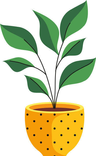 室内植物在陶瓷花盆中黄色点缀图片下载