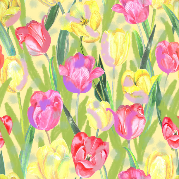 水彩郁金香2图片下载