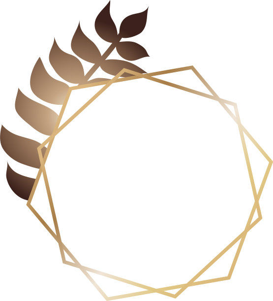 抽象的现代黄金框架与热带树叶图片下载