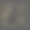 手绘精美的花框边框图片下载