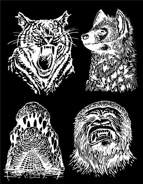 图形设置野生动物孤立在黑色图片下载