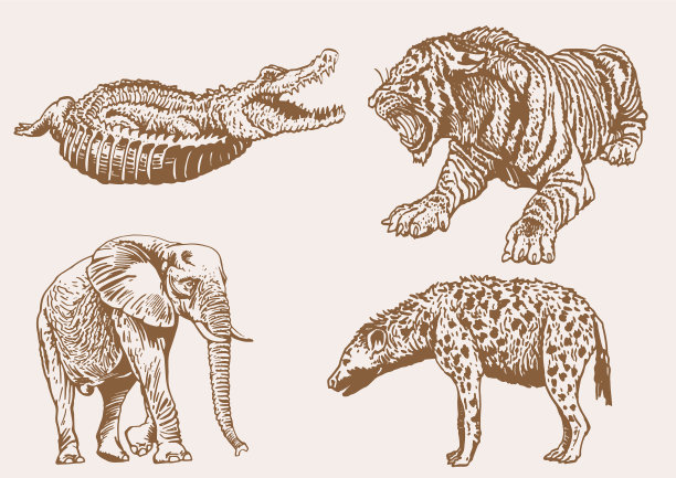 图形深褐色设置野生非洲动物图片下载