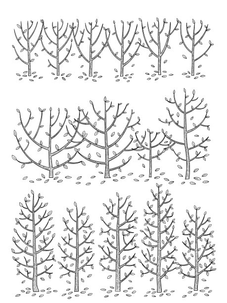 手绘集侧视图树图片下载