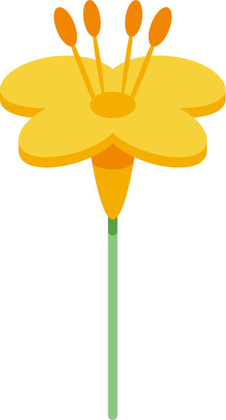 油菜花黄花图标等距风格图片下载