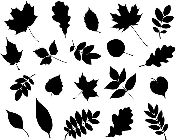 设置装饰秋叶剪影图片下载