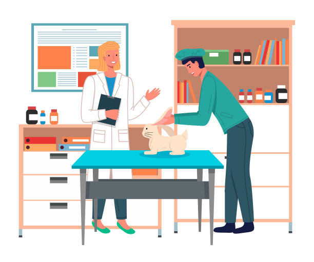 兽医抱着一只兔子进行检查图片下载