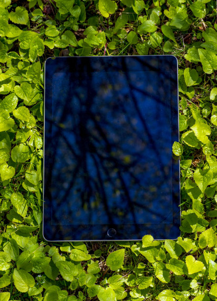 草地上的数字平板电脑!!图片下载