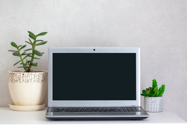 工作场所的自由桌面，打开笔记本电脑和室内植物在桌子上。图片下载