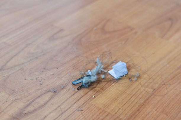 近距离观察木地板上的灰尘和污垢。图片下载