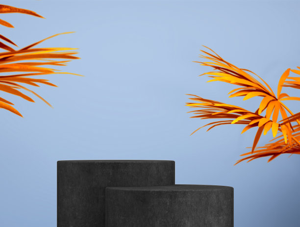 摘要模板作为展示阶段，叶片在背景前图片下载