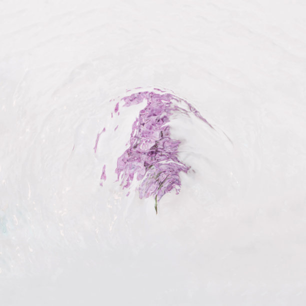 紫色的花在波浪的水。最小的。图片下载