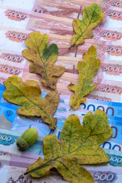 钱在秋叶上。俄罗斯钱和橡树叶。秋天的静物画。图片下载