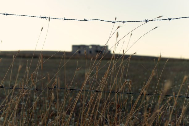 野生卢卡尼亚图片下载