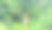 一扇旧木门，上面有一个信箱和一个号码，上面爬满了绿藤图片下载