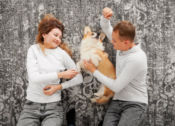 一对年轻夫妇躺在灰色的背景上玩他们的宠物。图片下载