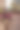 公寓阳台桌上的植物图片下载