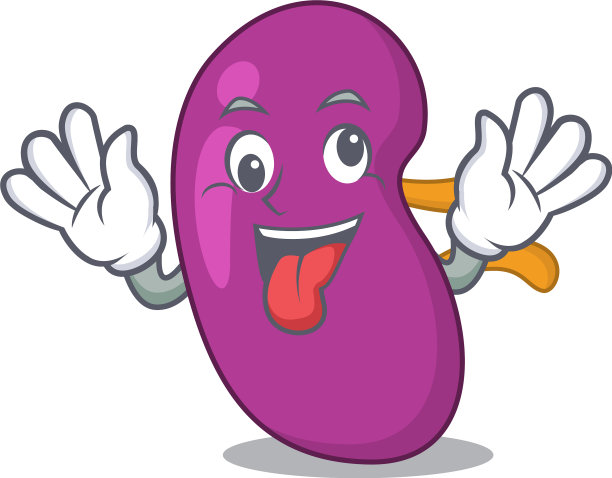 吉祥物设计肾有一个有趣的疯狂图片下载