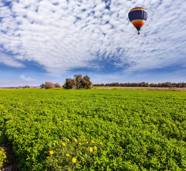 热气球飞行图片下载