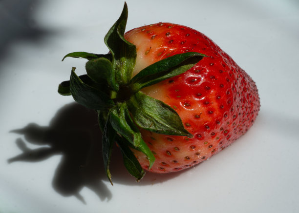 阳光下的草莓图片下载