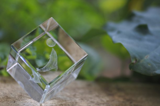 自然背景，玻璃装饰图片下载