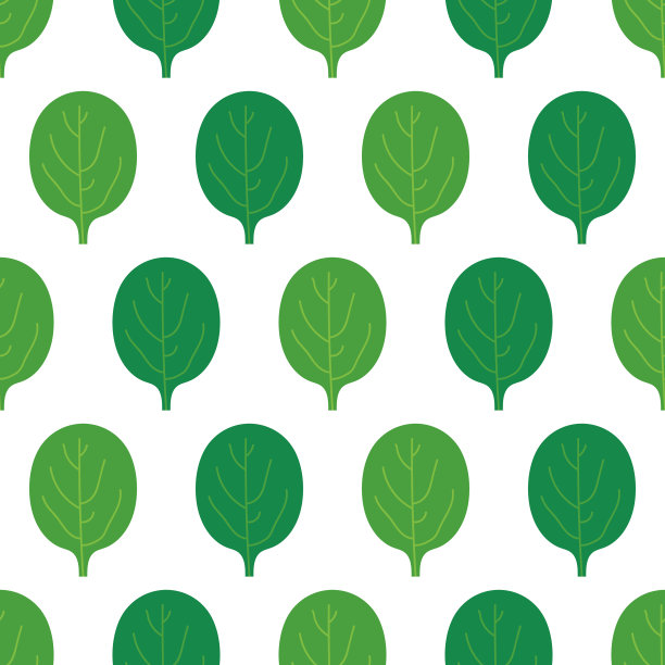 鲜绿菠菜叶无缝图案图片下载