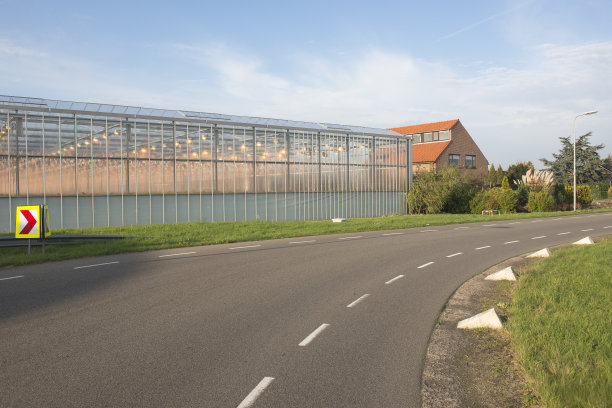 带温室的道路上的景色图片下载