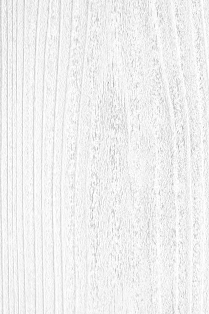 美丽的树林图片下载