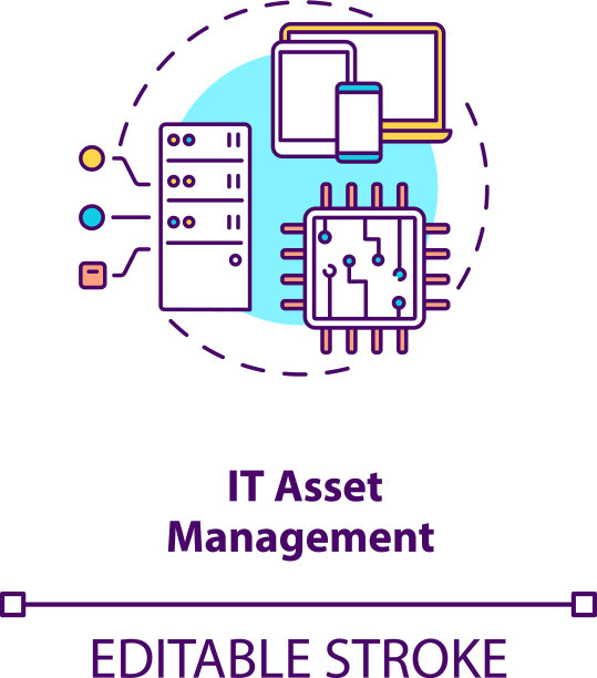 It资产管理概念图标图片下载