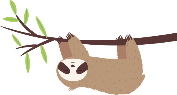 考拉澳大利亚的一种动物，挂在树枝上图片下载