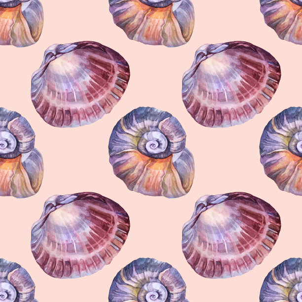 无缝图案水彩蓝棕色螺旋海贝与粉红色的背景上的珍珠。手绘自然写实的庆祝对象，文具，卡片，墙纸，纺织品，包装图片下载