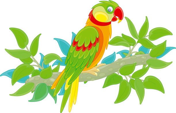 热带丛林里有趣的彩色鹦鹉图片下载