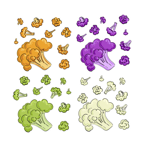 花椰菜和甘蓝画的卡通图片下载