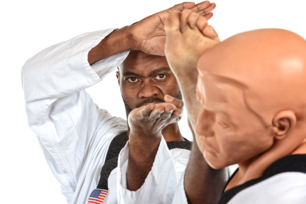 武术踢和掩护图片下载