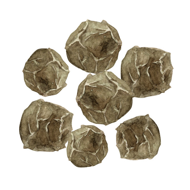 黑胡椒粉调味图片下载