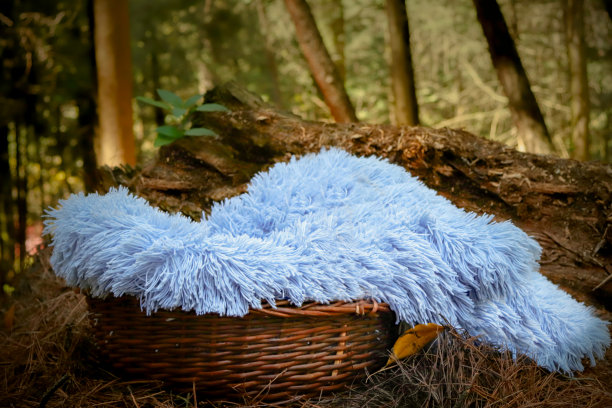 有蓝色毯子的婴儿篮子图片下载