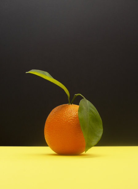 橙色在黑色和黄色的背景。图片下载