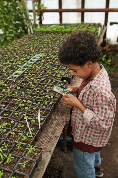 小男孩在花园里玩手机图片下载