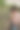 小男孩在花园里玩手机图片下载