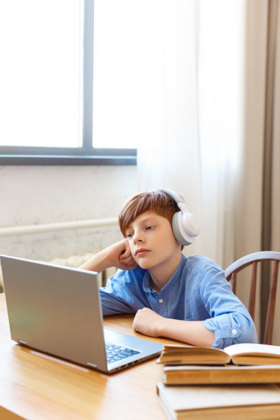 垂直的照片，一个男孩在一个笔记本电脑显示器前，正在网上上课。在线教育的概念图片下载